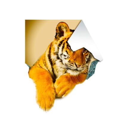 3d Tiger Sticker - Tiger Porthole Decoration Wall Decal For Bedroom- Boy Room Optical Illusion Of Crack - The Peel And Stick Kid Art - Image 2