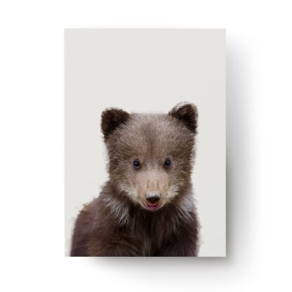 Baby Bear Poster Wall Print - Nursery Art Decor Cute Forest Animal Picture - Kid Boy Room Decoration Large Grizzly Photo Paper - Image 2